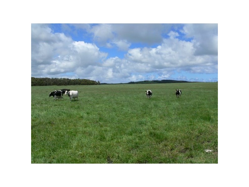 21 Pilkingtons Road, Fish Creek VIC 3959