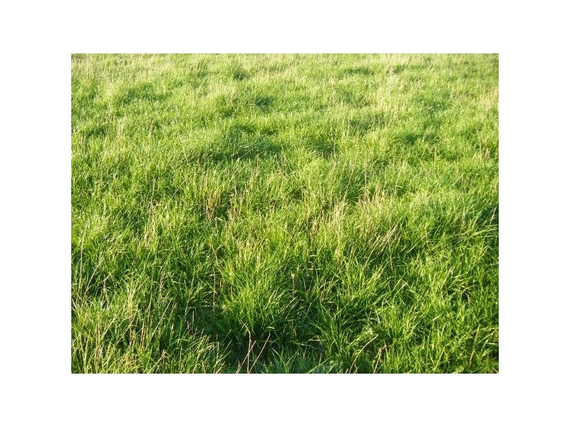 21 Pilkingtons Road, Fish Creek VIC 3959