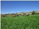Gundagai NSW 2722
