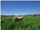Gundagai NSW 2722