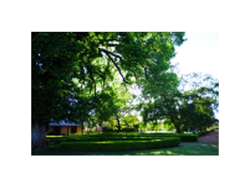 Mudgee NSW 2850