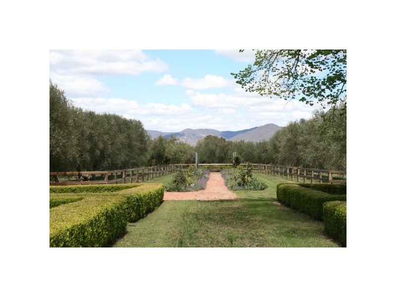 Mudgee NSW 2850