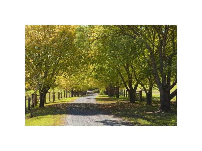 Yarramalong NSW 2259