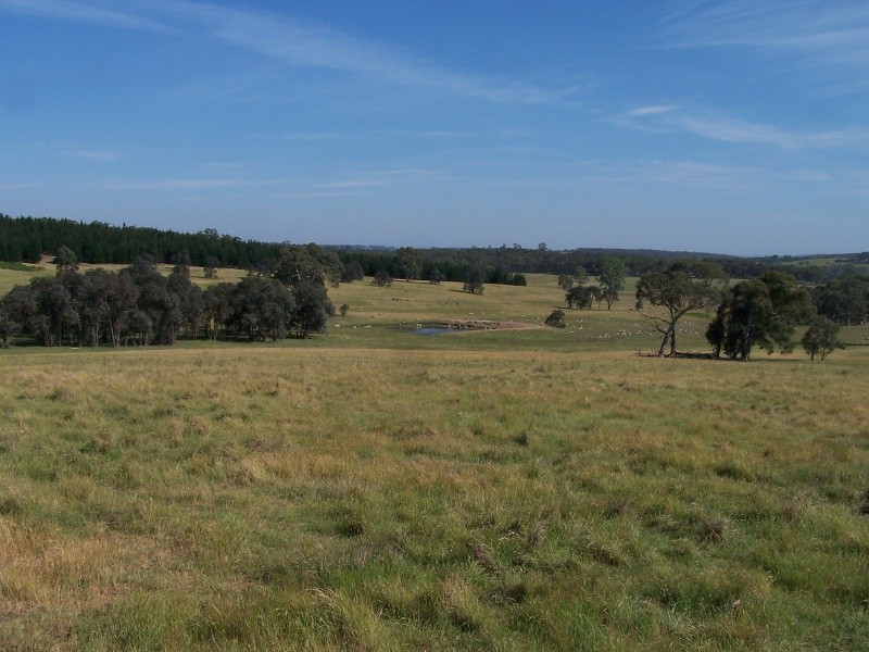 250 Garbutts Road, Wingello NSW 2579