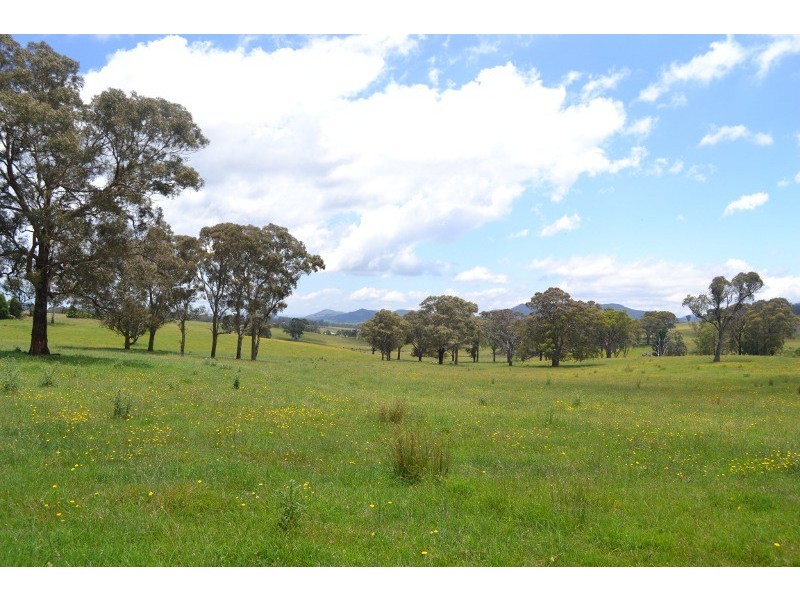 491 Back Cullen Bullen Road, Portland NSW 2847