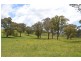 491 Back Cullen Bullen Road, Portland NSW 2847
