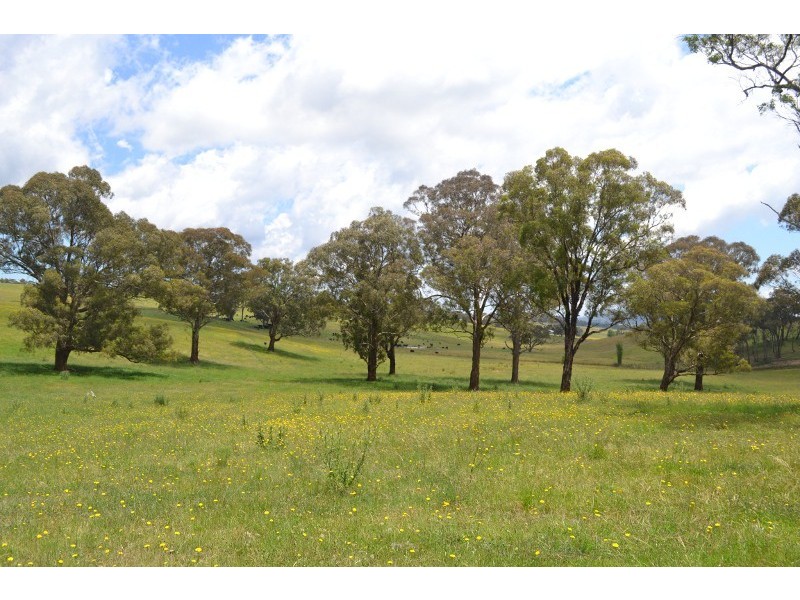 491 Back Cullen Bullen Road, Portland NSW 2847