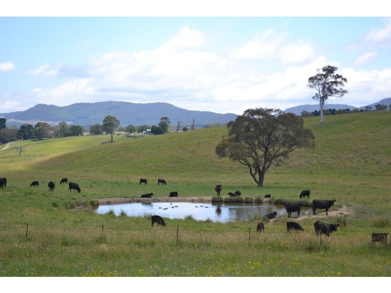 491 Back Cullen Bullen Road, Portland NSW 2847