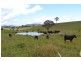 491 Back Cullen Bullen Road, Portland NSW 2847