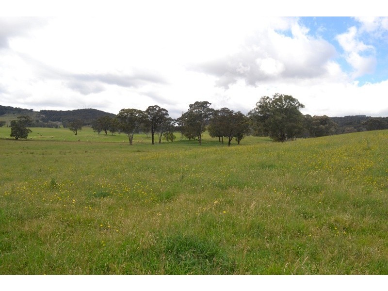 491 Back Cullen Bullen Road, Portland NSW 2847