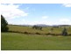 491 Back Cullen Bullen Road, Portland NSW 2847