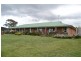491 Back Cullen Bullen Road, Portland NSW 2847