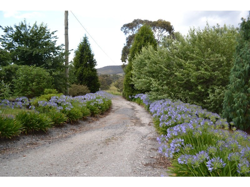 491 Back Cullen Bullen Road, Portland NSW 2847