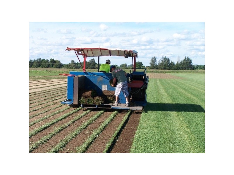 87 Cornwallis Road, Cornwallis NSW 2756