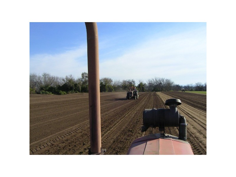 87 Cornwallis Road, Cornwallis NSW 2756