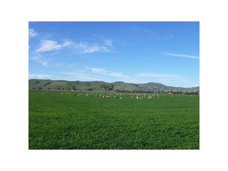 1 Hume Highway, Gundagai NSW 2722