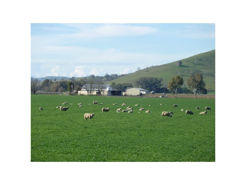 1 Hume Highway, Gundagai NSW 2722