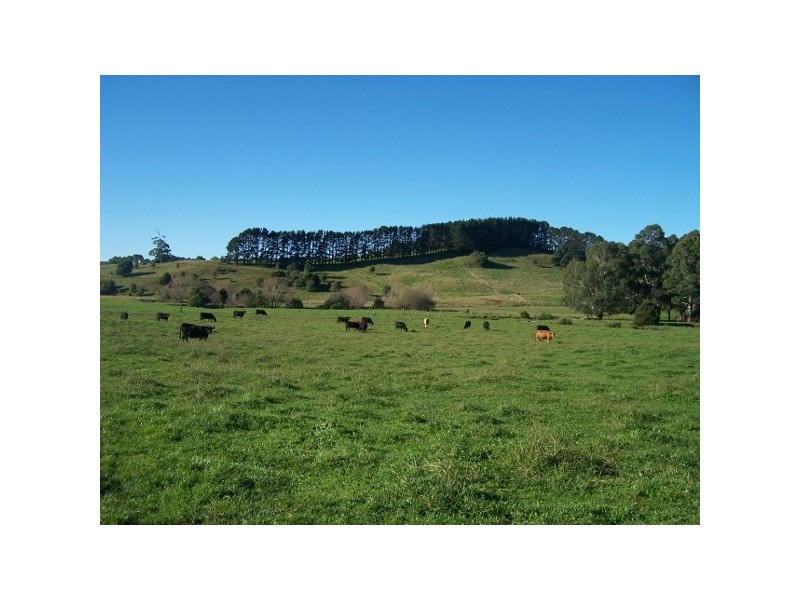 94 Kirklands Road, Kangaloon NSW 2576