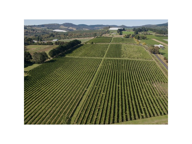 613 Cargo Road, Nashdale NSW 2800