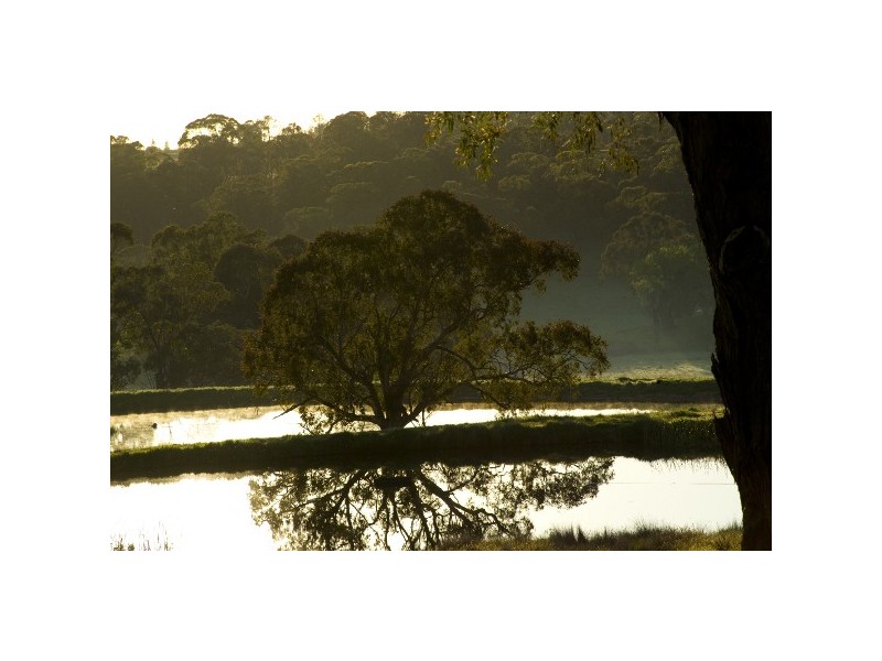 613 Cargo Road, Nashdale NSW 2800