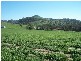 Adjungbilly NSW 2727