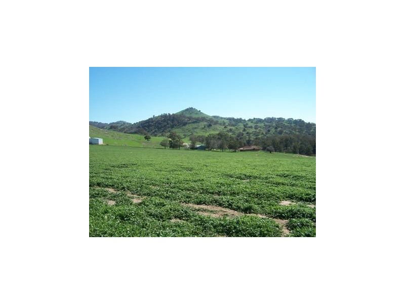 Adjungbilly NSW 2727