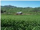 Adjungbilly NSW 2727