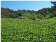 Adjungbilly NSW 2727