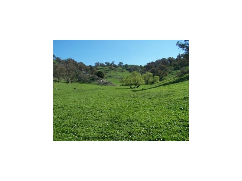 Adjungbilly NSW 2727