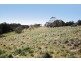 26 Waterfall Way, Dorrigo NSW 2453