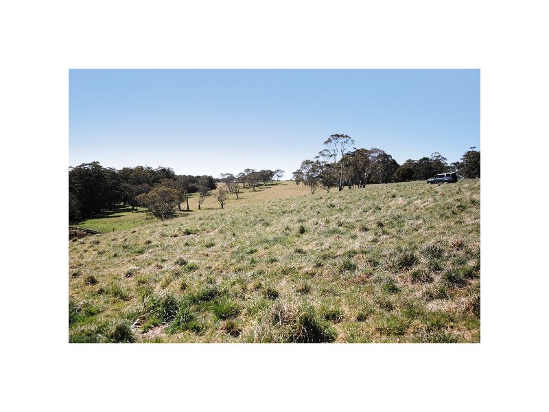 26 Waterfall Way, Dorrigo NSW 2453