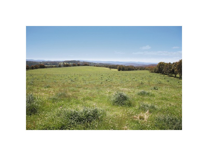 26 Waterfall Way, Dorrigo NSW 2453