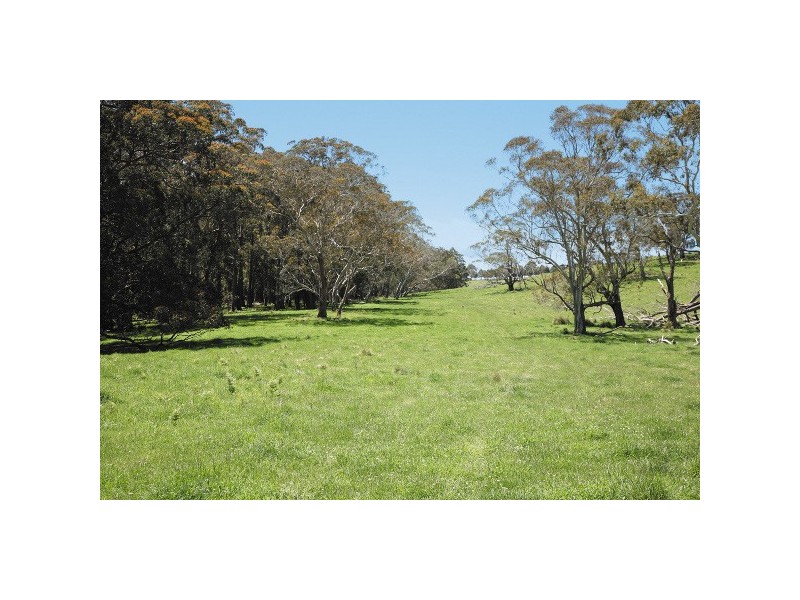 26 Waterfall Way, Dorrigo NSW 2453