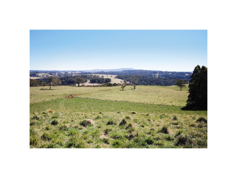 26 Waterfall Way, Dorrigo NSW 2453
