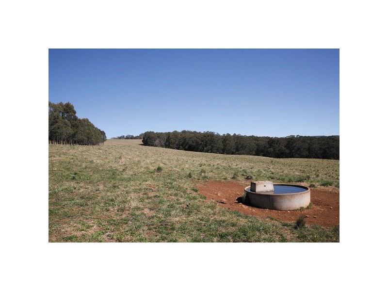 26 Waterfall Way, Dorrigo NSW 2453