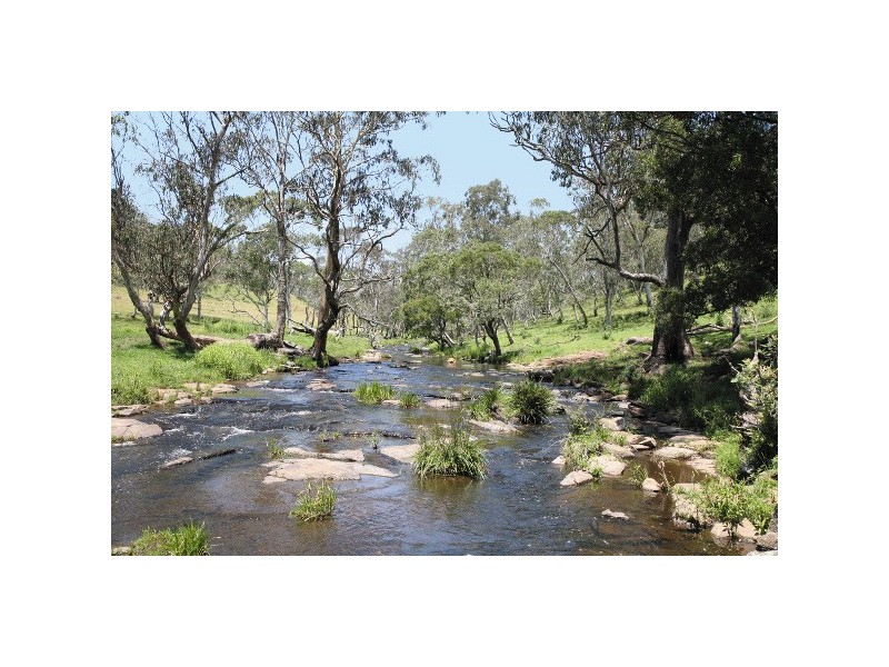 26 Waterfall Way, Dorrigo NSW 2453