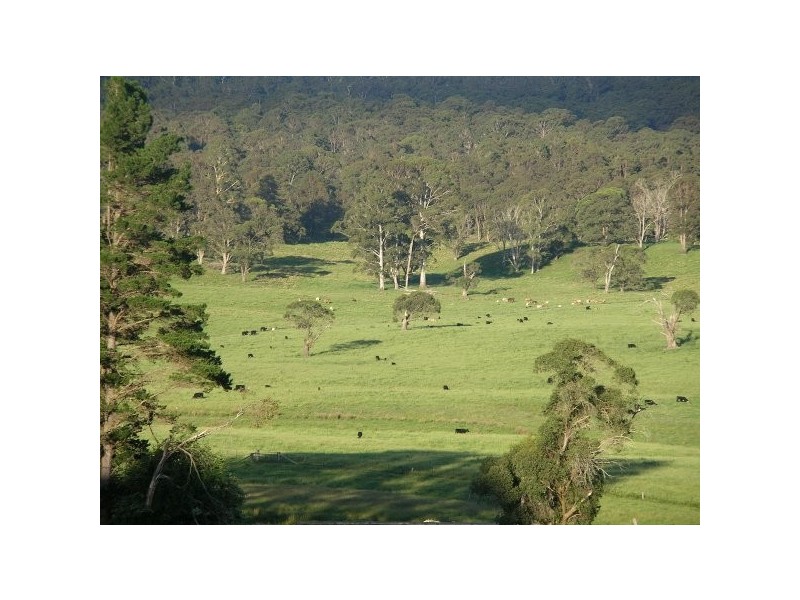 Hernani NSW 2453