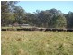 Hernani NSW 2453