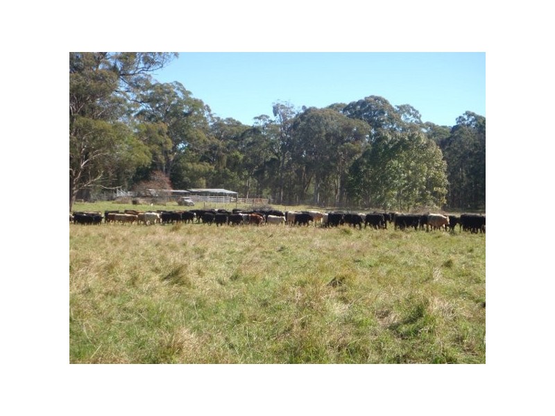 Hernani NSW 2453
