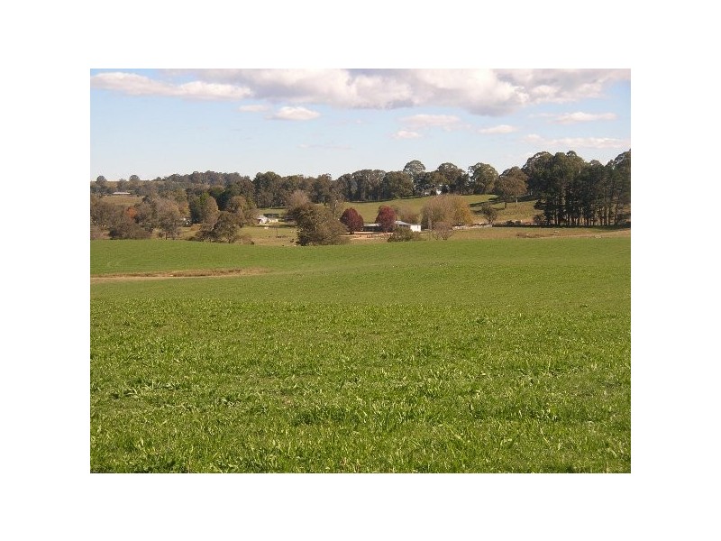 Hernani NSW 2453