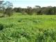 Hernani NSW 2453
