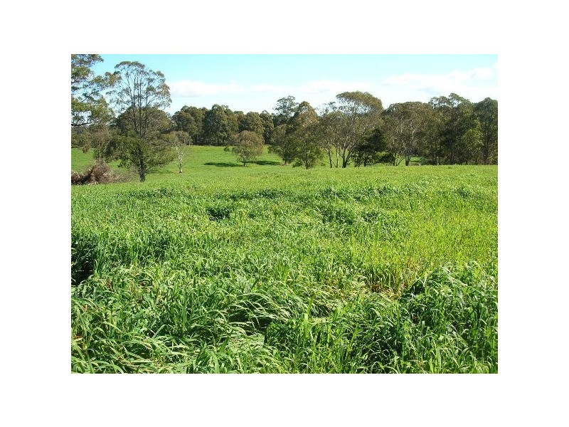 Hernani NSW 2453