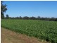 Hernani NSW 2453