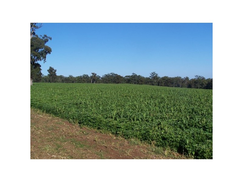 Hernani NSW 2453