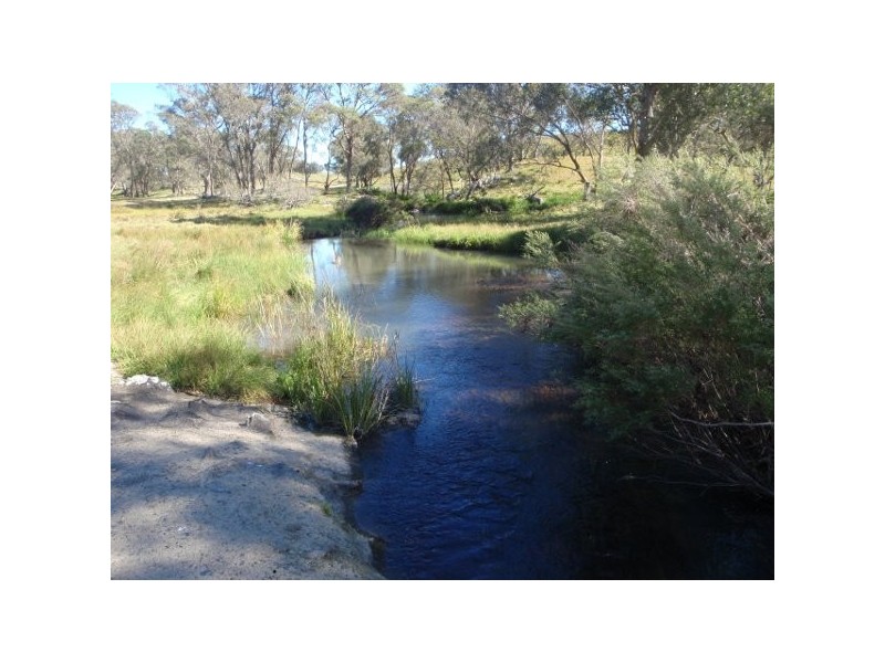 Hernani NSW 2453