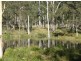 Hernani NSW 2453