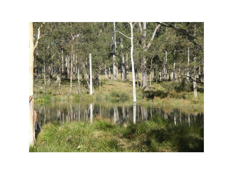 Hernani NSW 2453