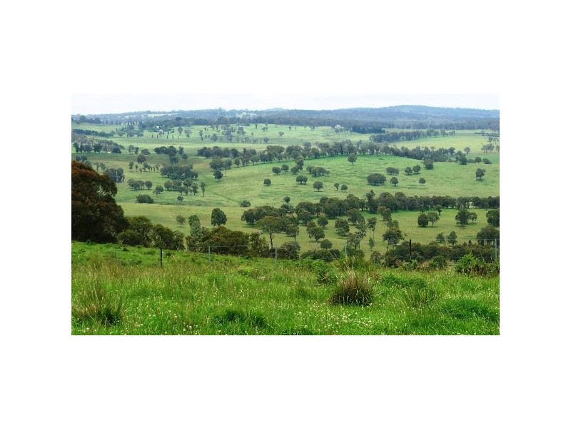 Wongwibinda NSW 2350