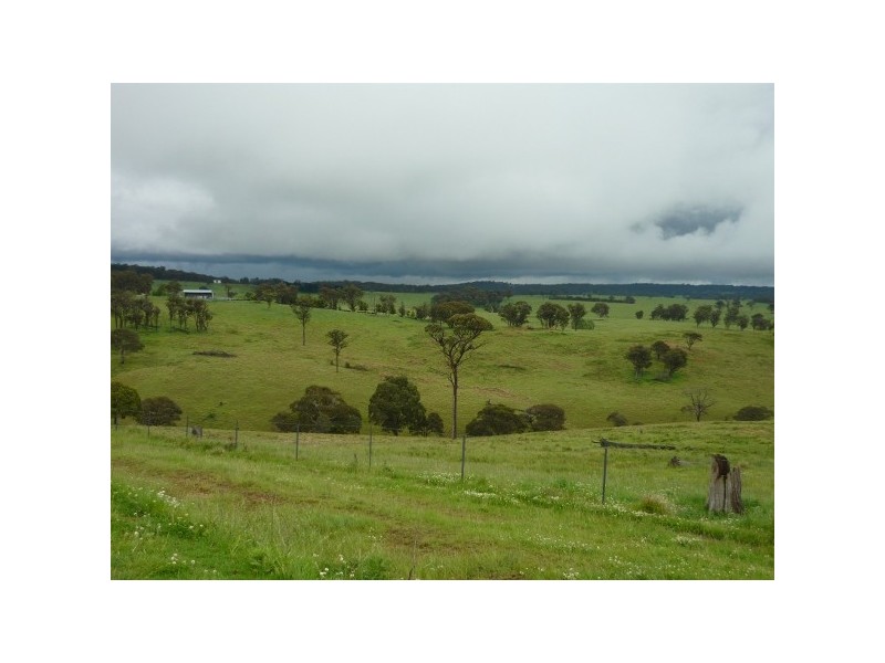 Wongwibinda NSW 2350