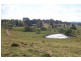 Wongwibinda NSW 2350